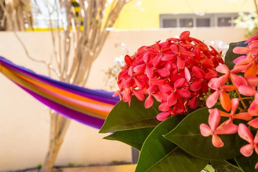 別荘 Pos Di Amor 15A Bonaire